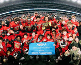 2025 Football Beefsteak